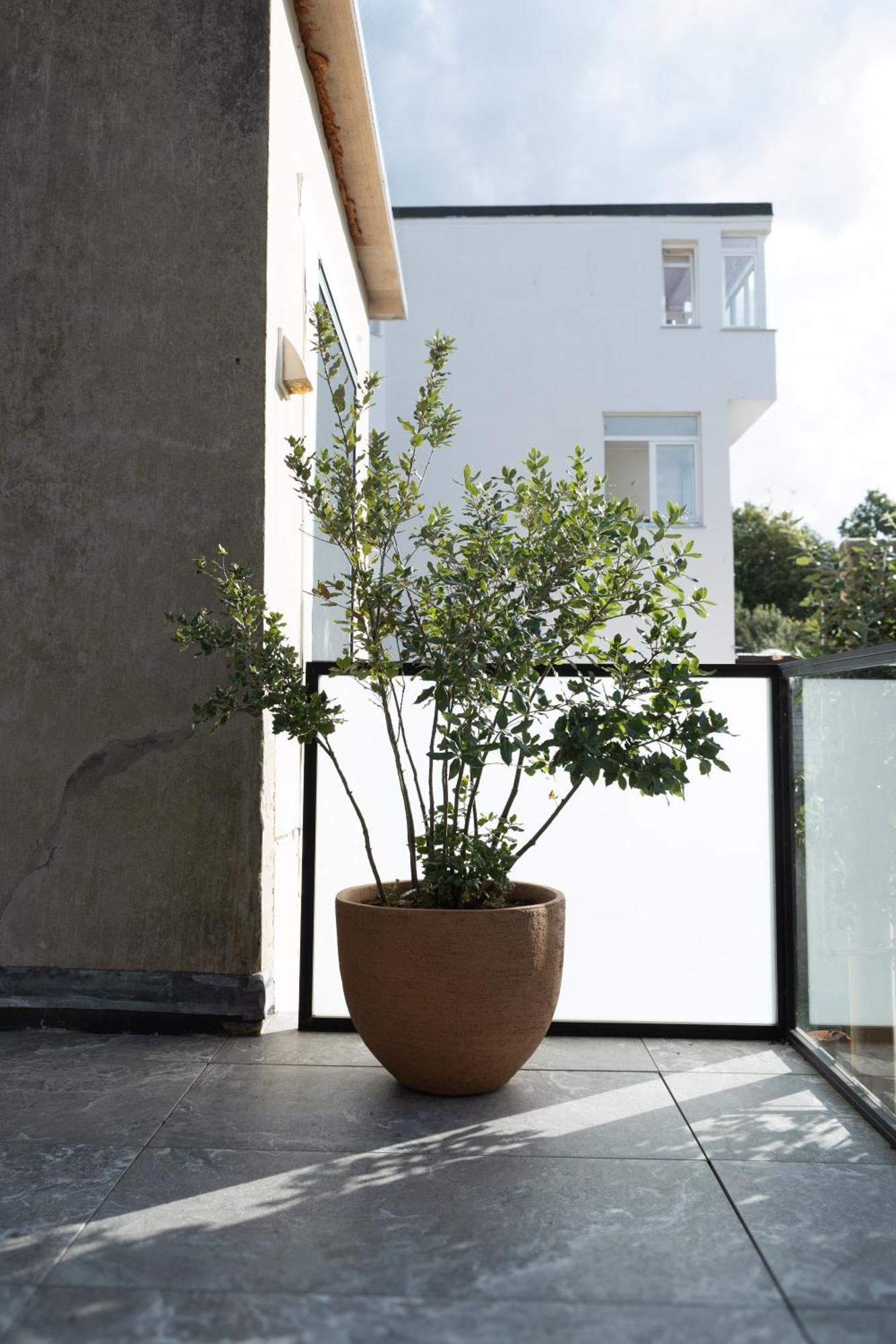 Huis Agnes Oostende Bagian luar foto